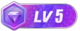 等级-LV5-安笙博客